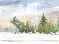 Paudash Lake winter by John Christie